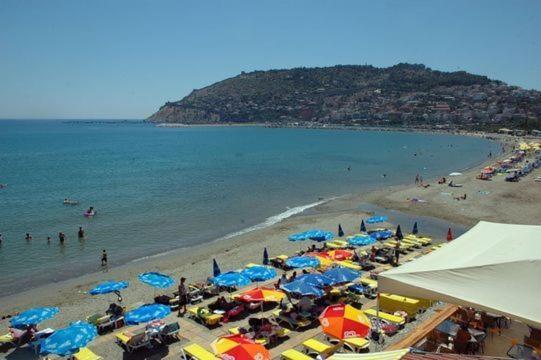 אלאניה Best Beach Hotel מראה חיצוני תמונה